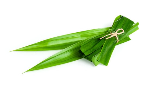Picture of Fresh Pandan Leaf Bunch
