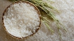 Picture of 2023 World Best Rice Gao Soc Trang 25Lbs