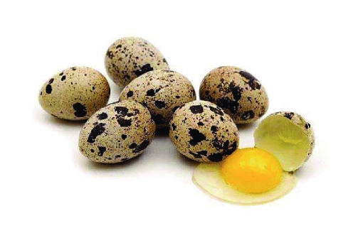 Picture of Nargil Farms Fresh Quail Eggs (Trung Cut) 10cts