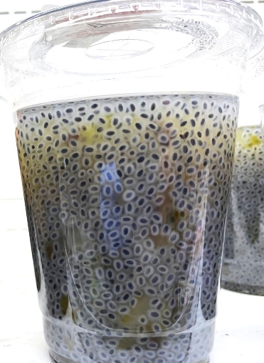 Picture of YesYes Basil Seed Drink (Hot E)