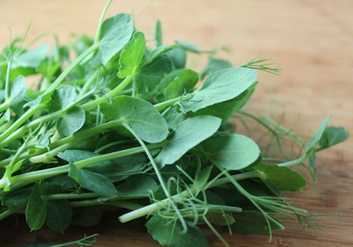 Picture of Snow Pea Leaf (La Dau Hoa Lan) per lb