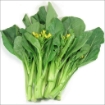 Picture of Yu Choy (Cai Ngot) per lb