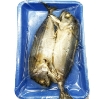 Picture of Frozen Short Mackerel Steamed Gutted & Cleaned (Ca Hap) 7oz Pack of 2