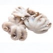 Picture of Baby Octopus (Bach Tuot Nho) Frozen 2lbs Pack