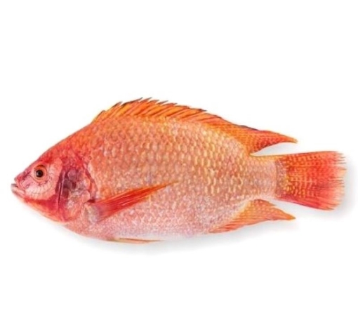 Picture of Fresh Red Tilapia Whole (Ca Dieu Hong) By Pound