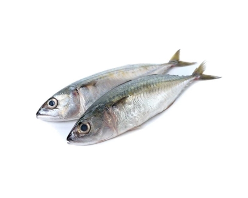 Picture of Idian Mackerel 5/8 (Ca Bac Ma) Frozen 2Lb bag