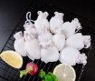 Picture of Oceankist Baby Cuttlefish 20/40 Frozen 12 oz Pack