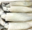 Picture of Whole Squid Oromar Brand (Muc Hop) Frozen 3lbs Pack