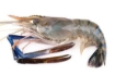 Picture of Raw Giant Freshwater Prawn 6/8, Frozen 2Lbs Pack