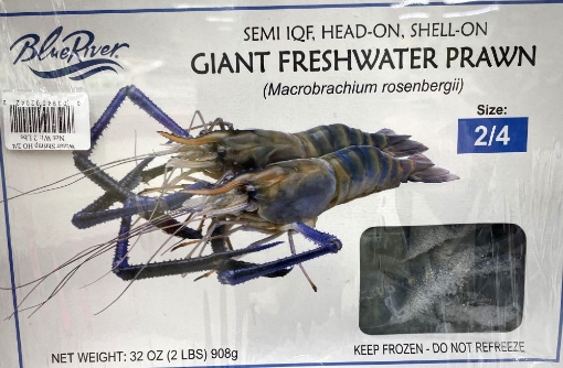 Picture of Head On Freshwater Shrimp (S:2/4) Frozen 2Lbs Pack