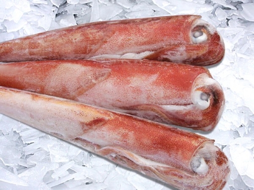 Picture of Frozen Squid Tube Vietnam (Muc Ong Viet Nam) Per Pound