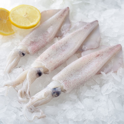 Picture of Fresh Small Squid Per Pound