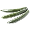 Picture of English Cucumber (Dua Leo Anh) per lb