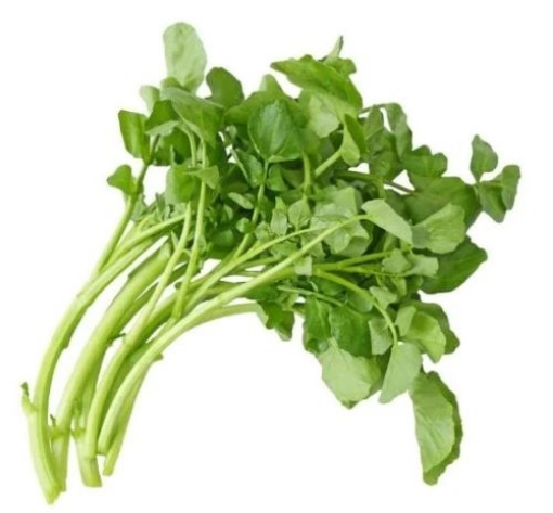 Picture of Watercress (Salad Son) per lb