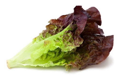 Picture of Red Leaf Lettuce Each